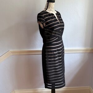 Adrianna Papell illusion black/cream mesh bodycon